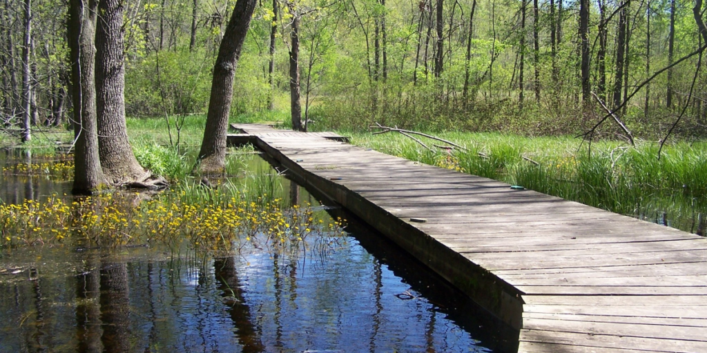 Nature Escape: 10 Must-Visit Parks in Southeast Wisconsin